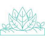 Configurateur massif floral